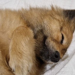 PP de ChloéBOUH