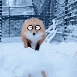 PP de Studio Lamachotte