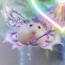 PP de morgane woah 🌞