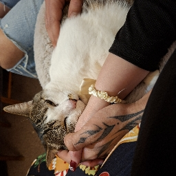 PP de Emelyne_Chihiro_25