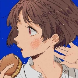 PP de Lu'