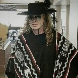PP de GaoShen