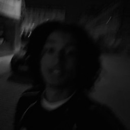 PP de sebyii