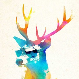 PP de CanDeer
