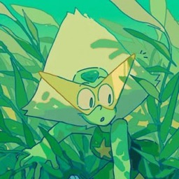 PP de Ringo