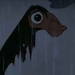 PP de IBBI