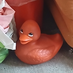 PP de Zélhério