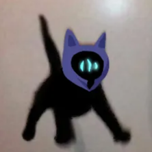 PP de Maëlly Smile